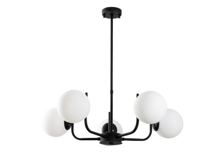 OPVIQ Antler 13768 crni luster