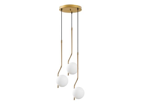 OPVIQ Tulıp 13823 Zlatni luster