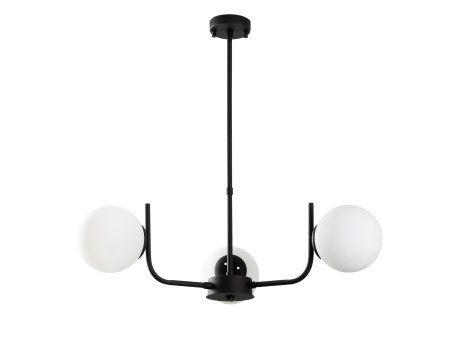 OPVIQ Antler 13767 Crni Luster