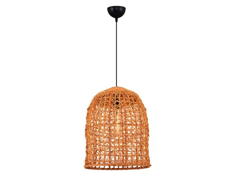 OPVIQ 4458 19 Hrast luster
