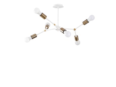 OPVIQ Sparrow 1193 Beli luster