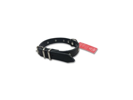 Savacoop Ogrlica kožna za psa 020 Lux, sa nitnama TR 5007