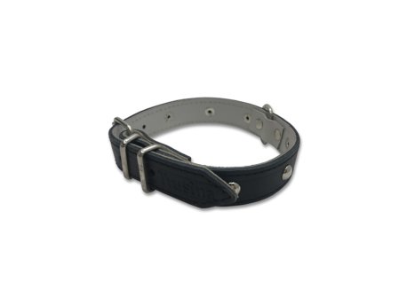 Savacoop Ogrlica ko§na za psa 025 Lux, sa nitnama/sa bodljama TR 5027