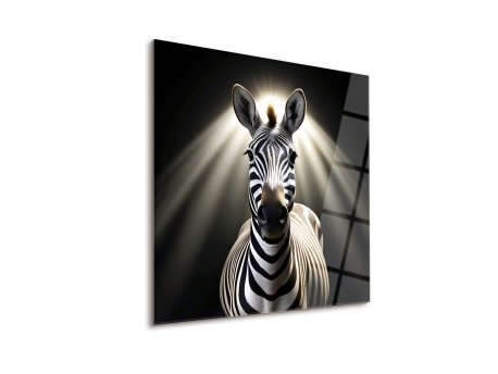 WALLXPERT Dekorativna slika Striped 63 x 63