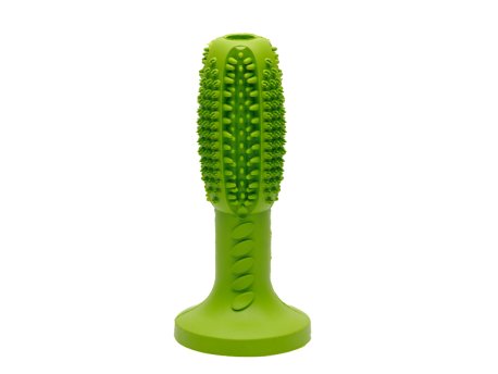 Savacoop Igračka za psa - gumena četkica za zube 6,5x14cm - zelena