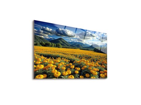WALLXPERT Dekorativna slika Amber 65 x 45