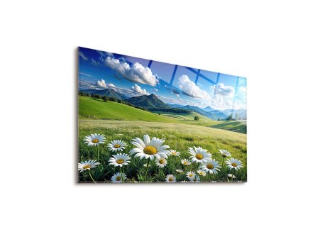 WALLXPERT Dekorativna slika Moorland 65 x 45
