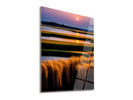 WALLXPERT Dekorativna slika Reeds 45 x 65