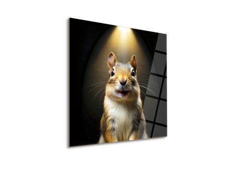 WALLXPERT Dekorativna slika Bunny 43 x 43
