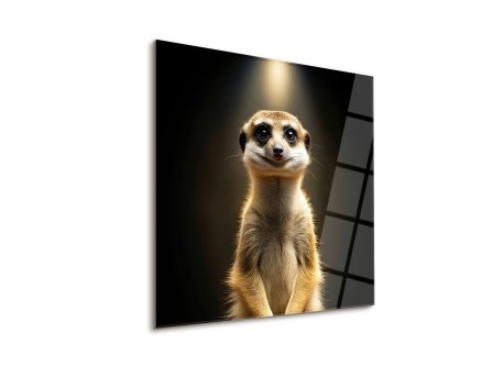 WALLXPERT Dekorativna slika Meerkat 43 x 43