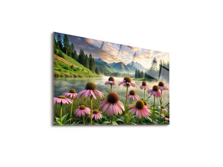 WALLXPERT Dekorativna slika Echinacea 43 x 30