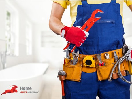 BC GROUP Home Assistance- Standard