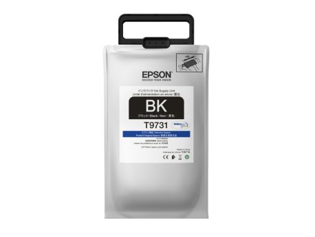 EPSON T97310N Crno RIPS mastilo XL