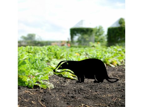 WALLXPERT Decorative Object figura Badger 01