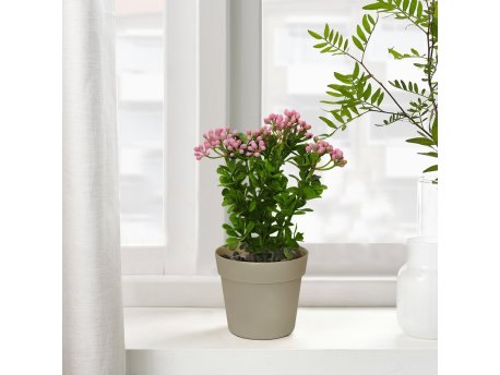 WALLXPERT Decorative Pot Braon Pink Zelena plastična saksija 241342