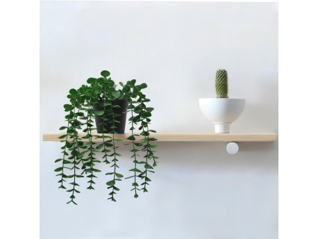 WALLXPERT Decorative Pot Crno Zelena saksija 241349