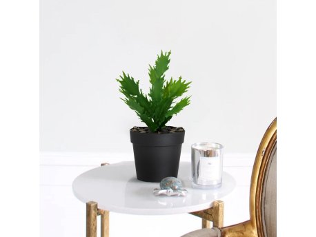 WALLXPERT Decorative Pot Crno Zelena 241347