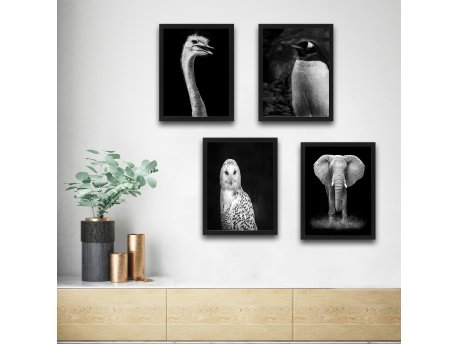 WALLXPERT Dekorativna slika u okviru (4 komada) Elephant Set