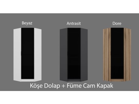 HANAH HOME Ormar Kale Glass Dark Grey Oak 210