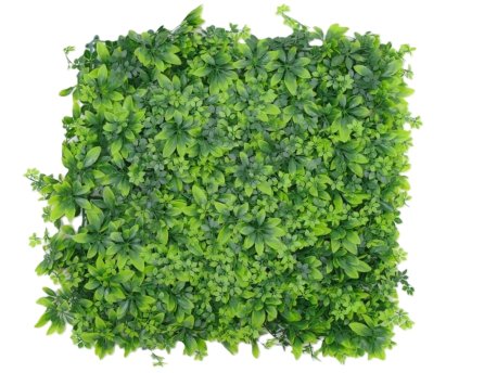 Bolzz Zeleni zid 3D Nature 50x50 cm