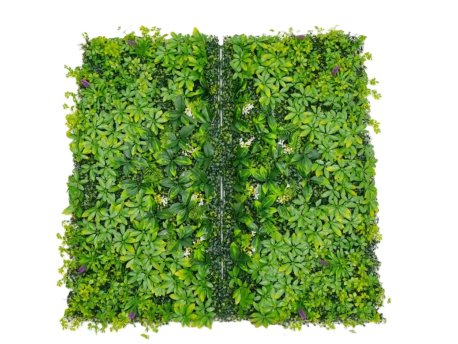 Bolzz Zeleni zid 3D Tara 1 100x100 cm