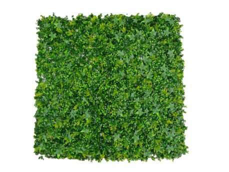 Bolzz Zeleni zid 3D Tara 2 100x100 cm