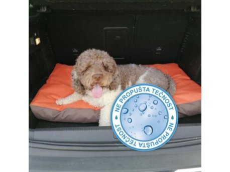 MEMOFORM Ležaj za ljubimce Memoform My Dog memory foam