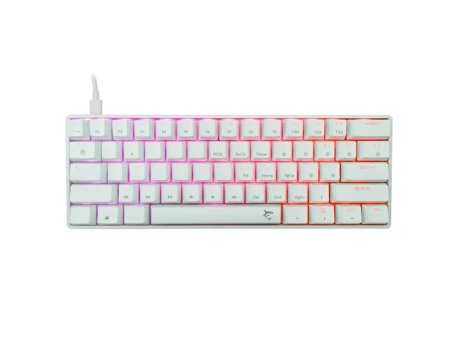 WHITE SHARK Shinobi 2 Bela US Plavi
