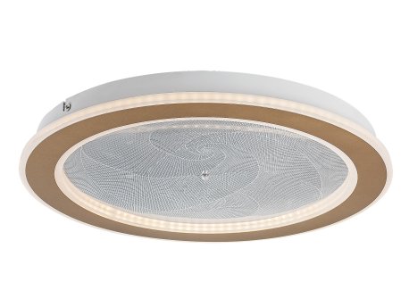 RABALUX Efrael 71281 LED plafonjera
