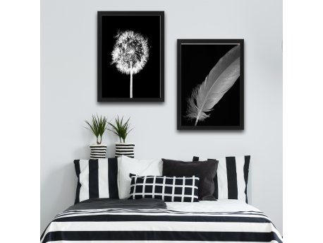 WALLXPERT Dekorativna slika u okviru (2 komada) Dandelion Feather Set