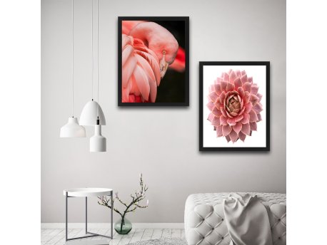 WALLXPERT Dekorativna slika u okviru (2 komada) Pink Flamingo Flower Set