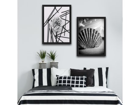 WALLXPERT Dekorativna slika u okviru (2 komada) Shell Dandelion Set