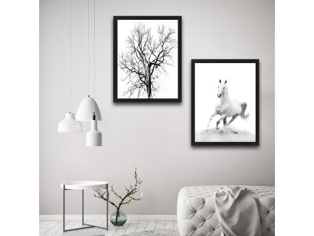 WALLXPERT Dekorativna slika u okviru (2 komada) White Horse Set