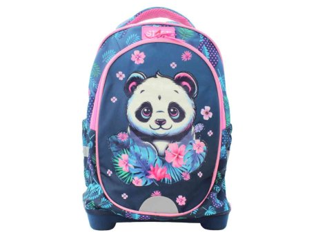 DEXY CO START RANAC ANATOMSK PANDA