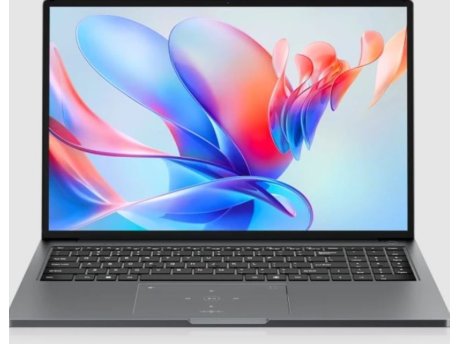 BLACKVIEW Laptop AceBook 12 15.6 FHD+ IPS/i5-12450H/16GB/NVMe 512GB/Win11 pro/gray