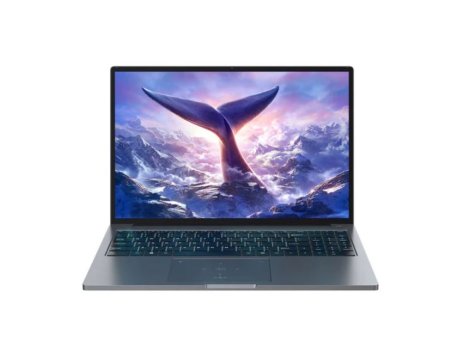 BLACKVIEW Laptop GamiBook 8 16 WUXGA IPS/R7-7735HS/16GB/NVMe 512GB/backlit/FP/Win11 pro