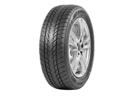 DAVANTI 205/55R17 95V Wintoura+ zimska