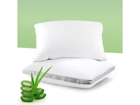 HOMEMATE Jastuk Aloe Vera 68*48 100% Memorijska Pena