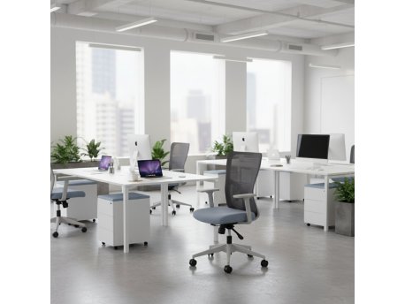 HANAH HOME Set 2 kancelarijske stolice Lumbar 108 Grey