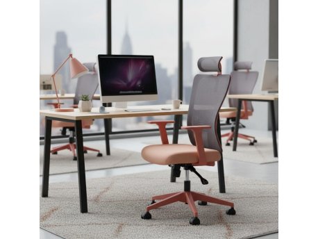 HANAH HOME Kancelarijska stolica Lumbar 126 Salmon