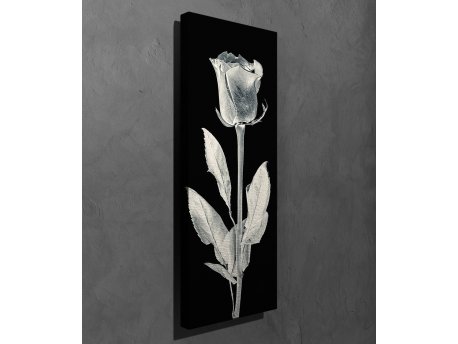 WALLXPERT Dekorativna slika PC161