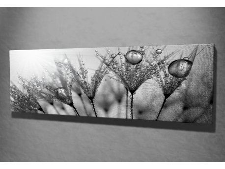 WALLXPERT Dekorativna slika PC047