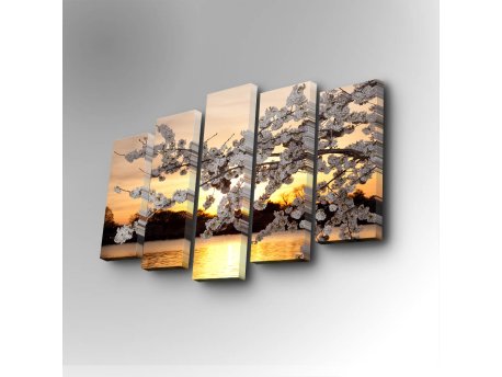 WALLXPERT Dekorativna slika iz 5 delova 5PUC 084