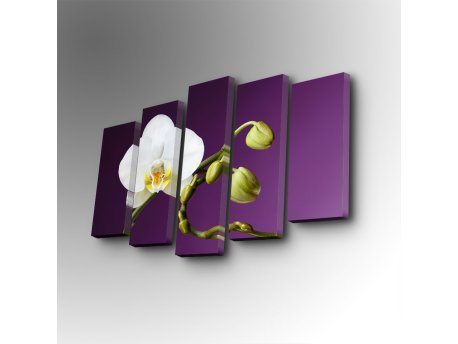 WALLXPERT Dekorativna slika iz 5 delova 5PUC 112