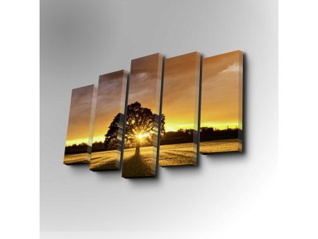 WALLXPERT Dekorativna slika iz 5 delova 5PUC 004