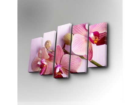 WALLXPERT Dekorativna slika iz 5 delova 5PUC 066