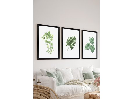 WALLXPERT Set 3 dekorativne slike Artsycllct27