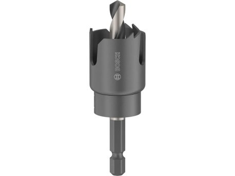 BOSCH Testera za otvore sa držačem za drvo i gips 25mm, 2608594490