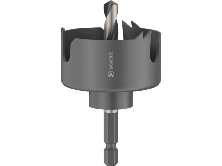 BOSCH Testera za otvore sa držačem za drvo i gips 48mm, 2608594493