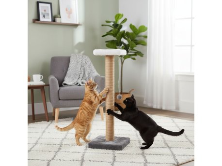 Paws & Whiskers Grebalica za mačke Barco